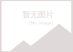 东阳山柏化学有限公司